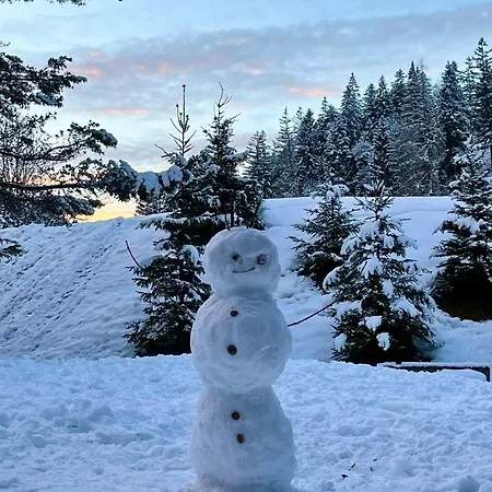 W6 Haus Ganghofer Appartement Leutasch