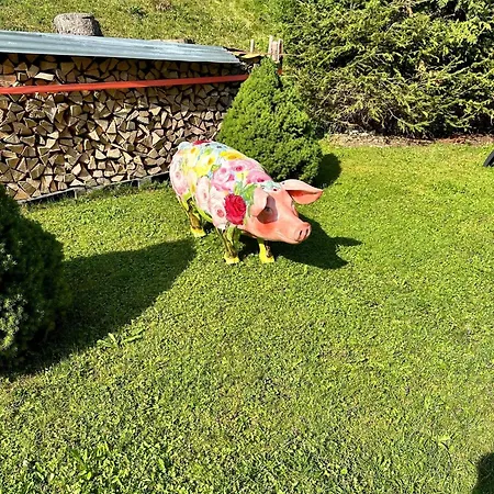 W6 Haus Ganghofer Apartmán Leutasch