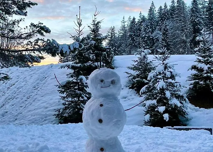 W6 Haus Ganghofer Apartment Leutasch