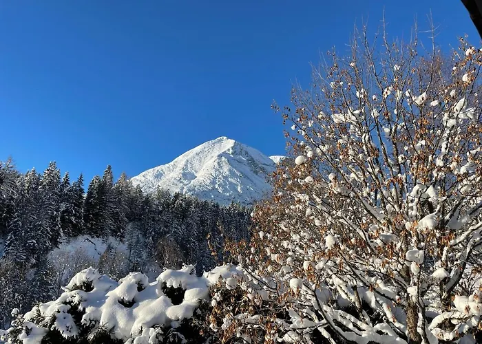 شقة W6 Haus Ganghofer